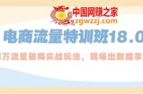 电商流量特训班18.0，直引万流量破局实操玩法，现场出数据拿结果