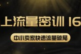 2022秋秋线上流量密训16.0：包含暴力引流10W+中小卖家流量破局技巧等等