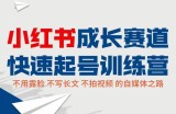 小红书成长赛道快速起号训练营，不露脸不写长文不拍视频，0粉丝冷启动变现之路