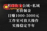 利用淘宝公域+私域差价掘金，日赚1000-5000元，工作室可放大操作，实操稳定半年【揭秘】