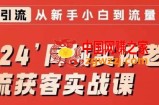 2024同城实体老板引流获客实战课，同城短视频·同城直播·实体店投放·问题答疑