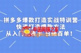 拼多多：开店打造爆款实战教程，一套从0到大师课程