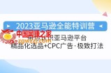 2023亚马逊全能特训营：玩转亚马逊平台+精品化·选品+CPC广告·极致打法