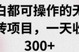 小白都可操作的无脑搬砖项目，一天收益300+【视频教程】