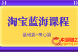 淘宝蓝海暴利产品实操项目，单店利润几千几万（基础篇+核心操作篇）