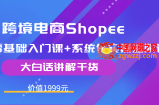 小鸿老师跨境电商Shopee零基础入门课+系统化实操进阶课，大白话讲解干货