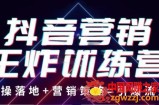抖音营销王炸训练营：实操落地+营销策略=引爆流量（价值8960元）