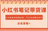小红书笔记带货课，大红海类目快速出单，市场大，可以多店模式运作(更新)