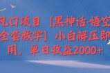 风口项目【黑神话-悟空全套教学】小白解压即用，单日收益2k