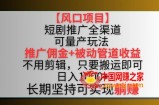 【风口项目】短剧推广全渠道最新双重收益玩法，推广佣金管道收益，不用剪辑，只要搬运即可【揭秘】