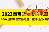 2023淘宝蓝海虚拟电商，日入300+虚拟产品实操运营，蓝海选品+案例拆解
