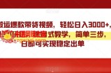 靠搬运爆款带货视频，轻松日入3000+，终极3.0玩法，保姆式教学，简单三步，小白即可实现稳定出单【揭秘】