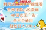 利用这款软件一键观看全网视频小说漫画，4K蓝光无广告，全平台通用，轻松日入500＋【揭秘】