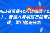 小Red书带货42天训练营（2.0版），普通人月收过万的带货课，零门槛无压货