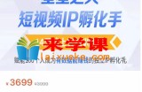 自然流短视频IP孵化第二期，14天线上实战训练营，赋能100个人成为有数据能赚钱的独立IP孵化手