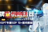 品牌营销新利器：ChatGPT专属SOP，70+提问模板【文档】