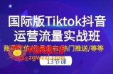 国际版Tiktok抖音运营流量实战班：账号定位/作品发布/热门推送/等等-13节