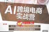 AI跨境电商实战营：从0-1精通Al的真正有效电商玩法，卖家如何利用Al快速超车