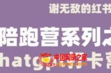谢无敌ChatGPT训练营，教你用ChatGPT来提升工作效率
