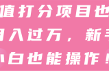 颜值打分项目也能月入过万，新手小白也能操作！【视频教程】