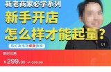 拼多多运营玩法实操，新老商家必学系列，新手开店怎么样才能起量