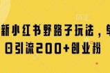 最新小红书野路子玩法，单日引流200+创业粉