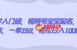 玄学入门级，视频号宝宝起名，0成本，一单268，轻松日入1000+【揭秘】