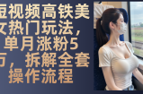 最新爆款短视频高铁美女玩法，一周涨粉5万+，每天稳定变现1000+实战教程