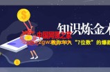 智多星知识炼金术：教你年入“7位数”爆款课程（售价9800元）