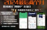 （13322期）2024最后两个月如何通过”创业IP“卖项目年入”百万“,创业IP+最强引流...