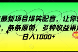 龙年最新项目爆笑配音，让你轻松涨粉，条条原创，多种收益渠道，日入1000+【揭秘】