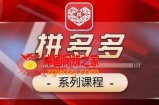 2024拼多多系列课，【基础】【运营】【活动】【推广】【玩法】5大模块