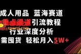 成人用品，蓝海赛道，重点渠道引流教程，行业深度分析，无需囤货，轻松月入5W+【揭秘】