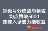 视频号分成蓝海领域，均点赞破5000，速速入场暴力撸收益