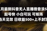 2025五月最新无人直播撸音浪单日产出5张+实操教程【揭秘】