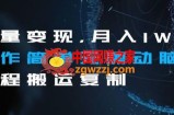 流量变现，月入1W+操作简单无需动脑全程搬运复制【揭秘】