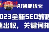 2023最新网站AI智能优化SEO教程，简单快速出权重，AI自动写文章+AI绘画配图