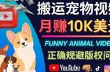 搬运TIKTOK视频到YouTube，并进行二次创作，月赚1万美元以上