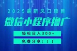 微信小程序撸广，最新风口项目，日入300+ 免费分享 可批量操作 小白可