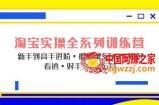 淘宝实操全系列训练营 新手到高手进阶·覆盖·99%知识 看透·对手 学会运营
