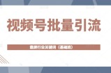 视频号批量引流，霸屏行业关键词（基础班）全面系统讲解视频号玩法