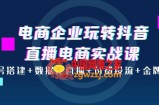 电商企业玩转抖音直播电商实战课：账号搭建+数据化直播+付费投流+金牌主播