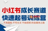 小红书成长赛道快速起号训练营：不露脸不写长文不拍视频，0粉丝冷启动变现之路