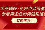 大圣电商哪吒·私域电商流量密码课，教电商企业如何做私域运营