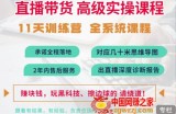 抖音直播带货全系统高级实操课程：3秒留人/获客/百万主播培养方法