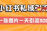 小红书私域引流，一张图片一天引流300+【揭秘】