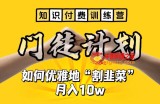 【知识付费训练营】手把手教你优雅地“割韭菜”月入10w【揭秘】