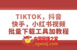 （7714期）TIKTOK，抖音，快手，小红书视频批量下载工具加教程