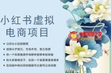 小红书虚拟电商从0到1，让你从小白到精英（20节实操课程）