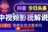 嚴如意中视频影视解说：掌握流量密码，自媒体运营创收，批量运营账号（价值980元）